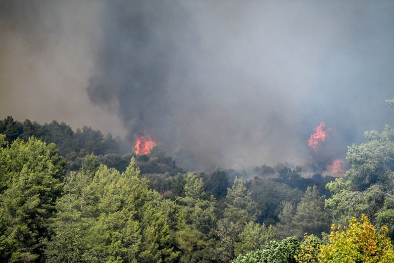 Πυρκαγιές στην Ηλεία Κλιμάκιο Εγκλημάτων Εμπρησμού Επιχειρεί στην Περιοχή